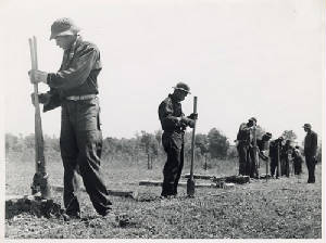 conservation civilian corps ccc projects putting fence boys greene georgia county camps planting trees ma digital webassets